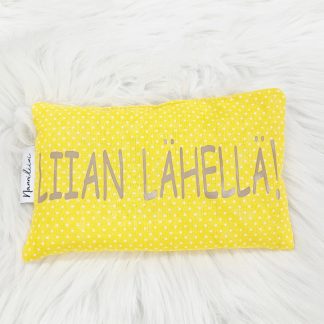 Kosteudenpoistajapussi