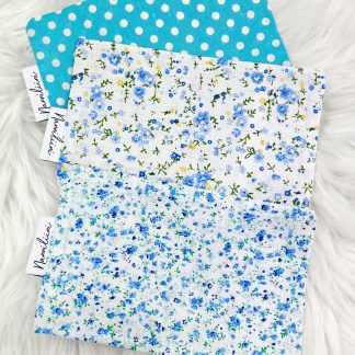 Kosteudenpoistajapussi